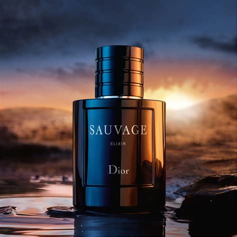 sauvage dior elixir unterschied|dior sauvage elixir best price.